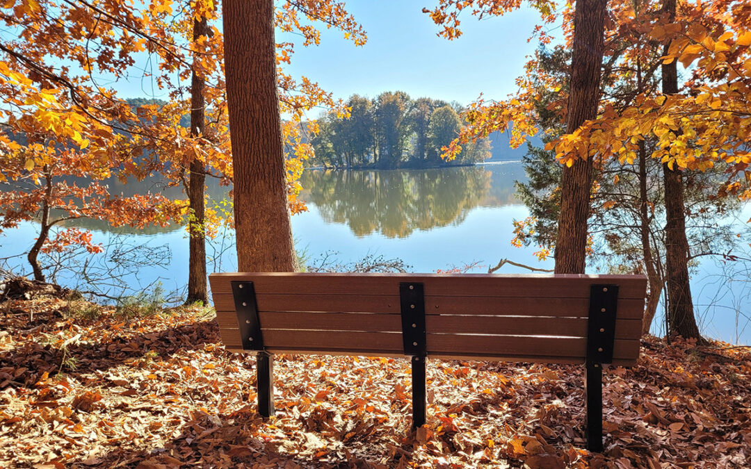 Honor a Loved One by Supporting Greensboro’s Parks with a Tribute Bench