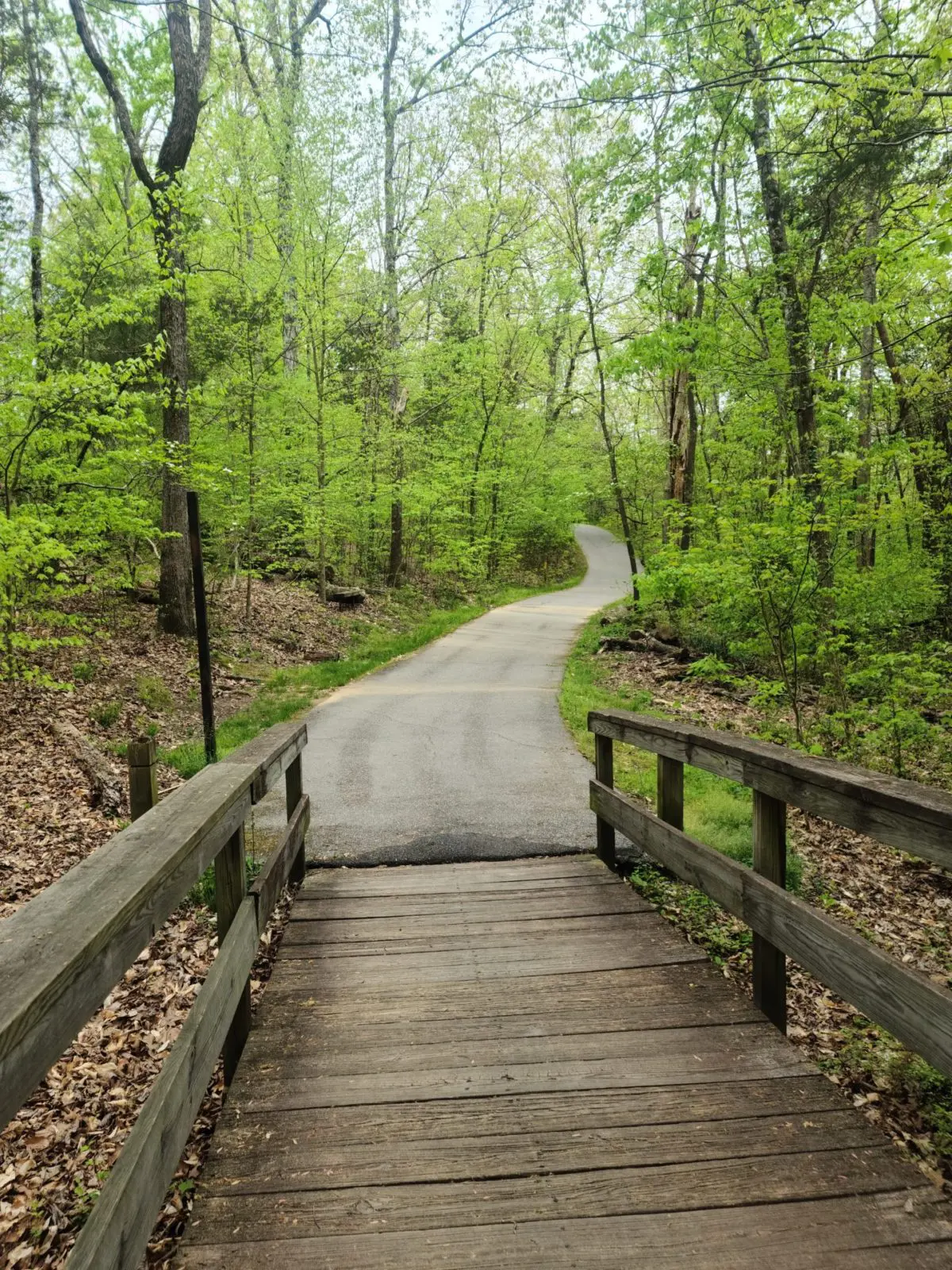 Bicentennial-Greenway-Greensboro-Path-1200x1600-1