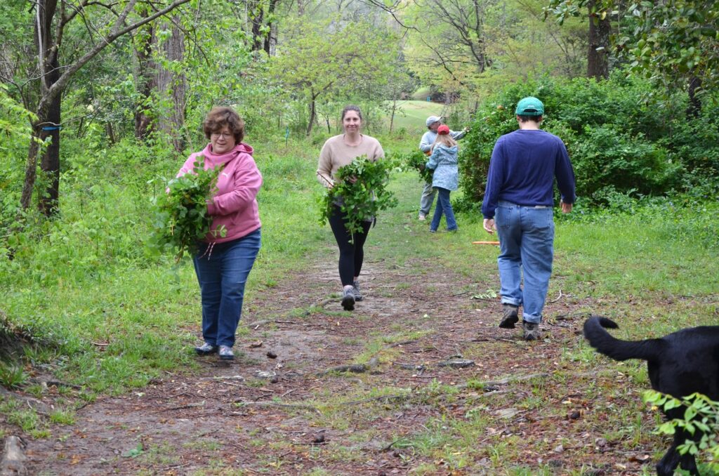 Bill Craft Park Beautification Project