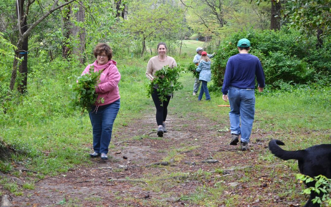 Bill Craft Park Workdays